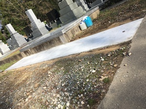 20200312_062551678_iOS_コピー