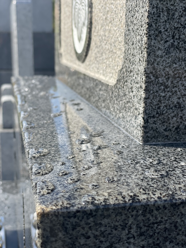 20230904_224949870_iOS_コピー